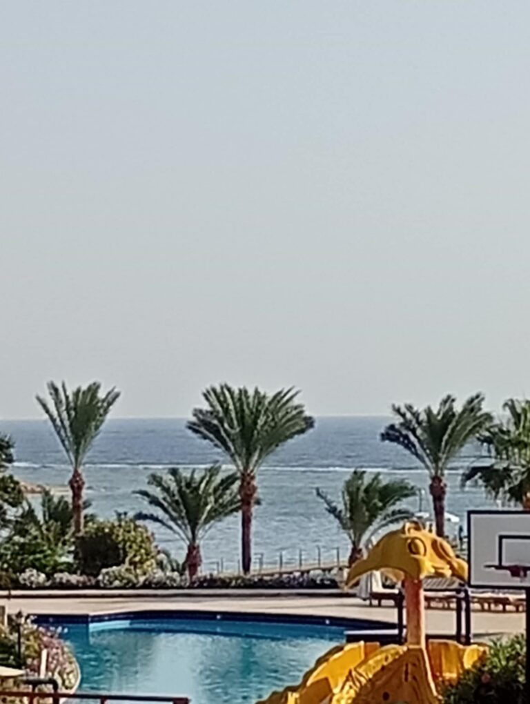 Přečtete si více ze článku OZDRAVNÝ POBYT U MOŘE V MARSA ALAM